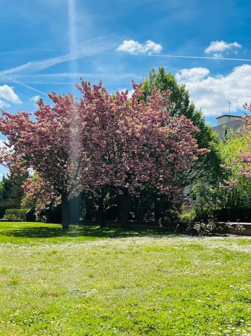Studio Situe A 5 Min Du Chateau De Versailles Et Stationnement Gratuit Exteriér fotografie